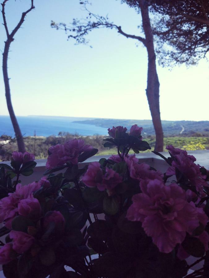 Villa Alda - Bilocali Vista Mare Santa Cesarea Terme Exteriér fotografie