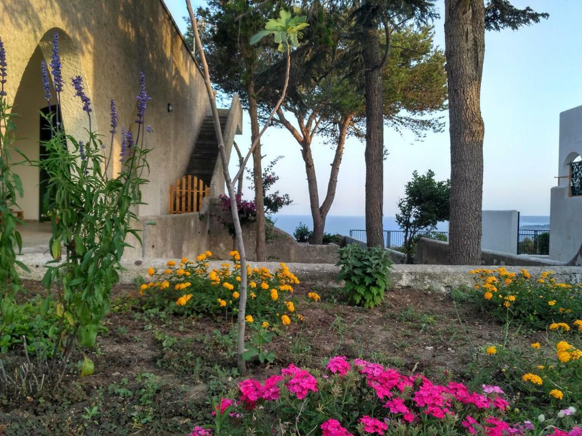 Villa Alda - Bilocali Vista Mare Santa Cesarea Terme Exteriér fotografie