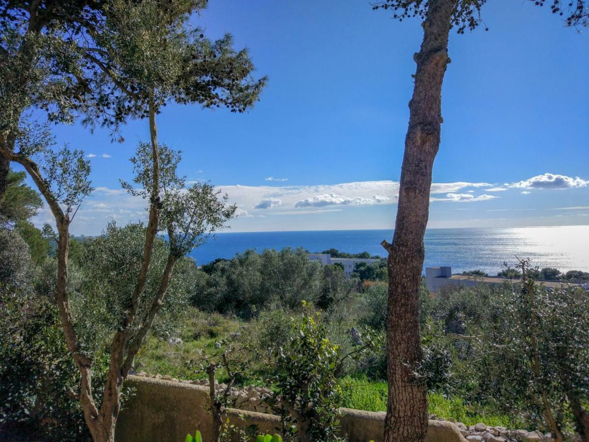 Villa Alda - Bilocali Vista Mare Santa Cesarea Terme Exteriér fotografie